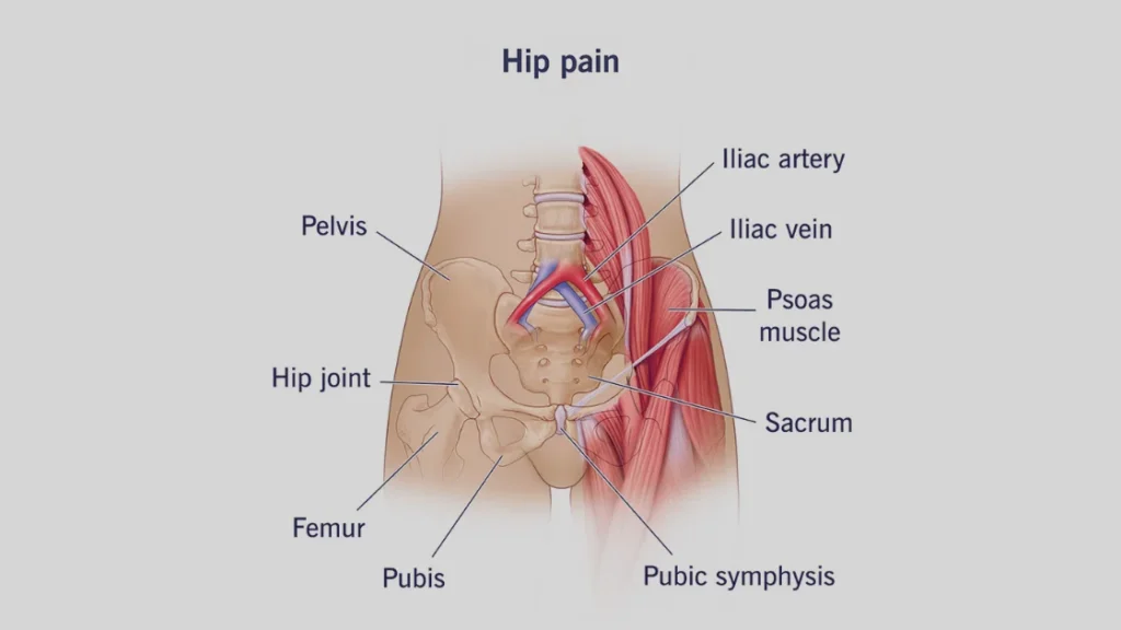 Hip pain nearby body parts